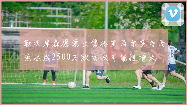 勒沃库森愿意出售格里马尔多与马竞达成2500万欧协议可能性增大